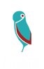 caioweb.art