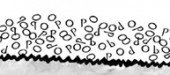LEO CUNHA_infanto_1 LEO CUNHA_infanto_1