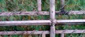 BLOG BLOG